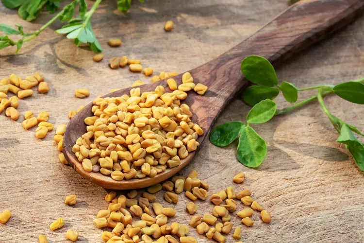 Fenugreek
